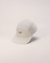 画像をギャラリービューアに読み込む, Gamma 5 Panel Cap