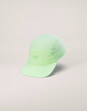 画像をギャラリービューアに読み込む, Gamma 5 Panel Cap