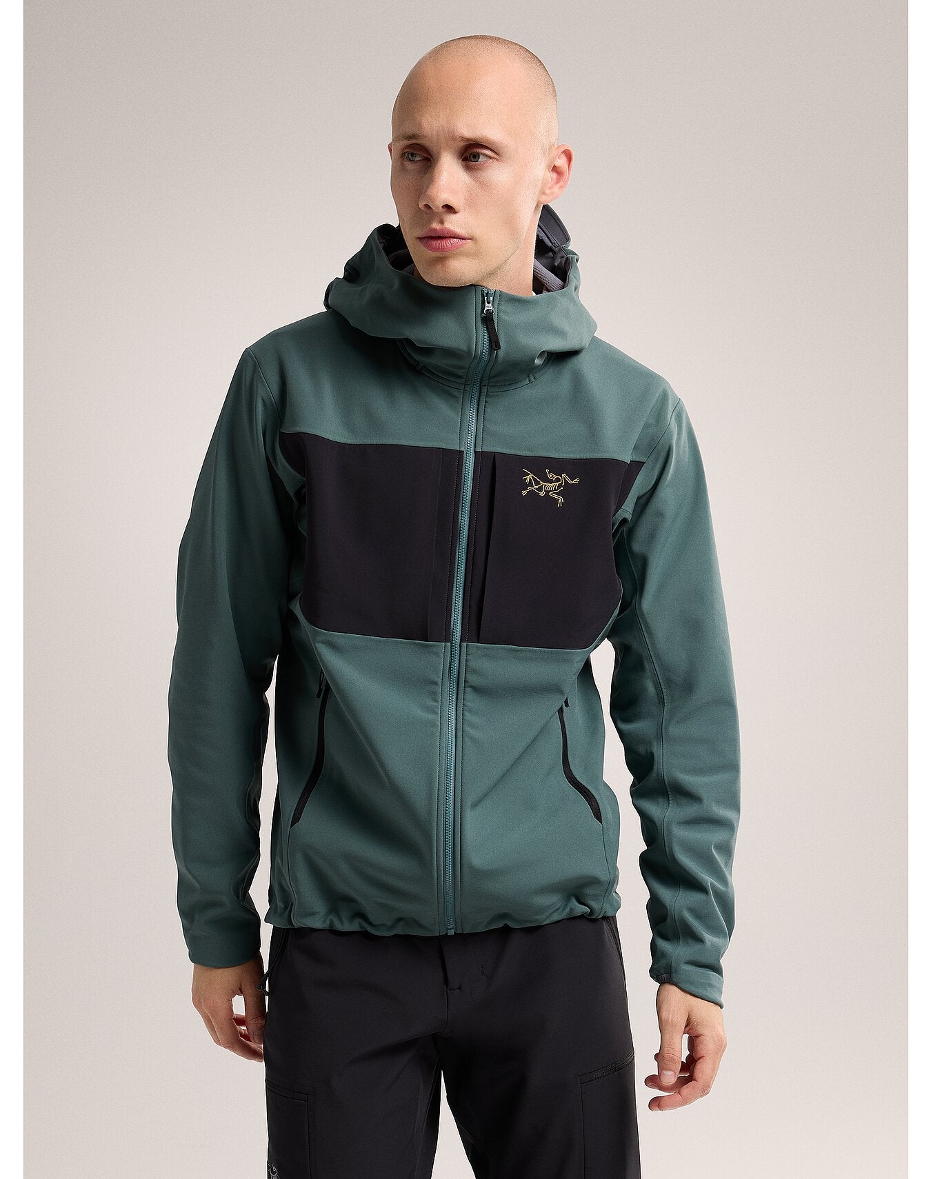 Arc'teryx GAMMA MX Hoody L Dark MagicNCN