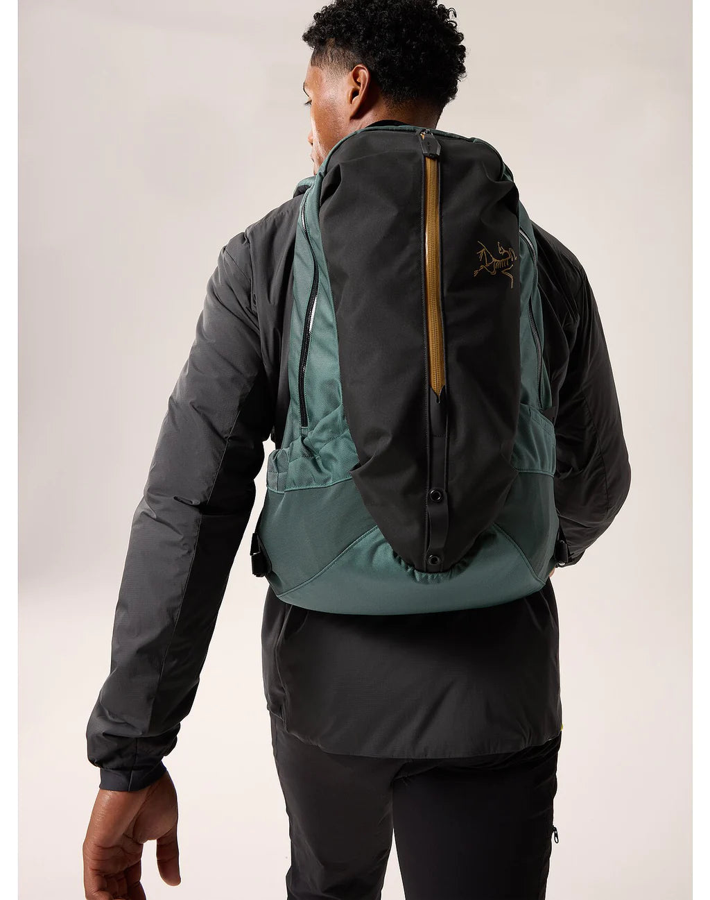 Arcteryx arro discount 22 stealth black